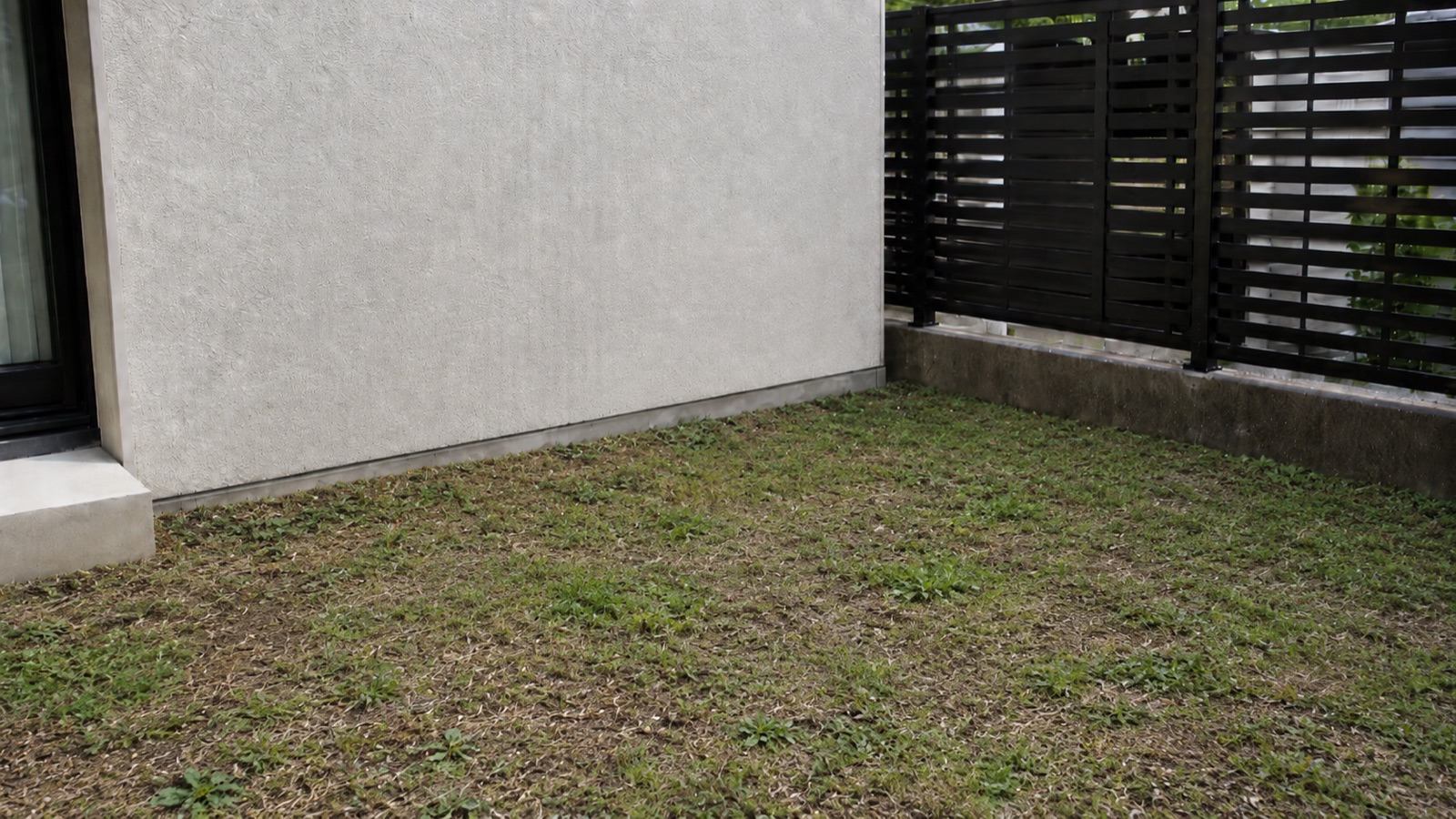 植栽エリア 施工前